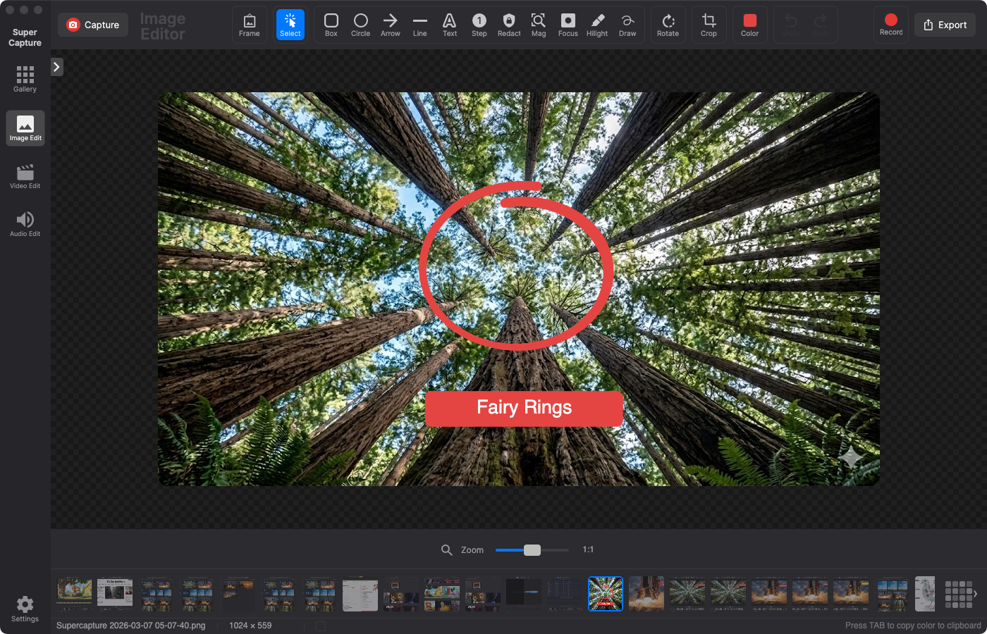 SuperCapture annotation tools in action on a redwood forest photo